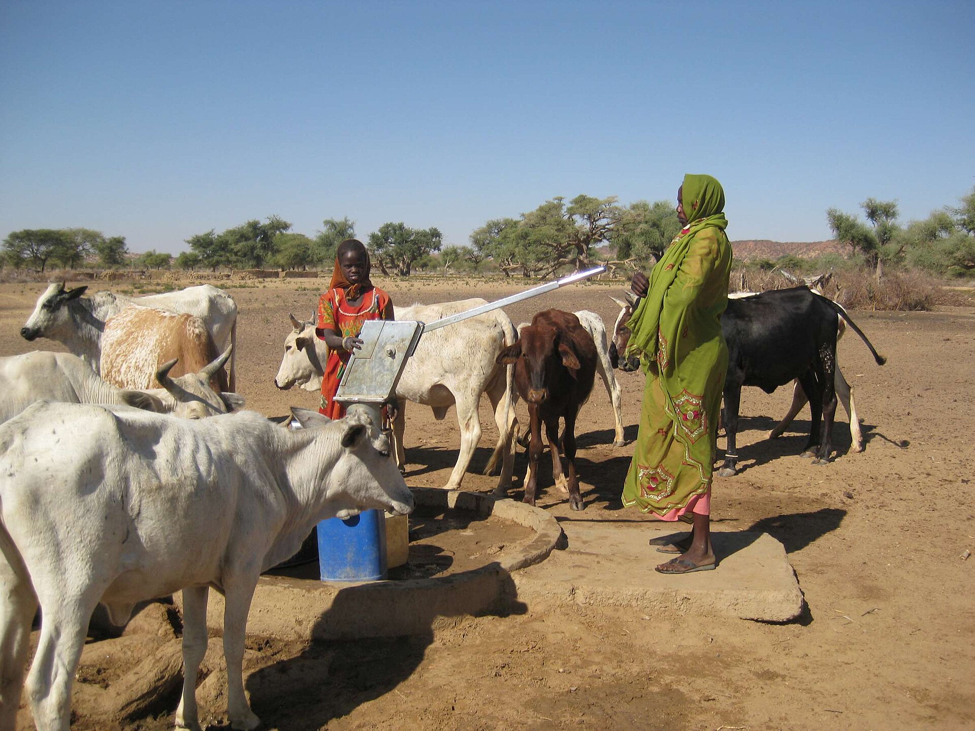 Community water pump in Darfur